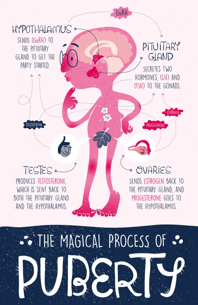 The Magical Process of Puberty